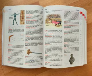Diccionario junior español RAE