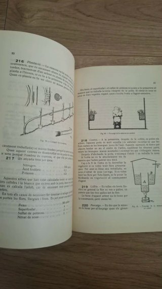 Conreu Forçat d'Hortalisses i Flors, 1923