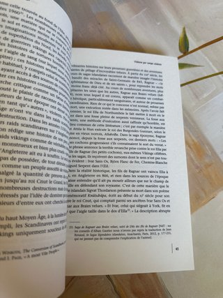 Au temps des Vikings