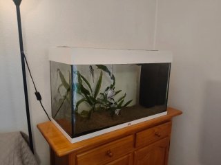 Acuario Juwel 125L