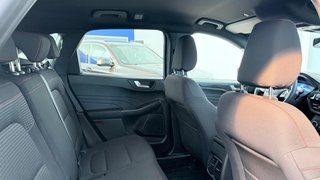Ford Kuga 2021
