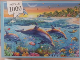 Puzzles varios 1000 Piezas