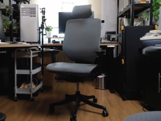 Silla Ergonómica FlexiSpot BS12 Pro Gris