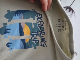 Lote 5 Ropa Infantil: Polo y 4 Camisetas