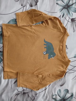 Lote 5 Ropa Infantil: Polo y 4 Camisetas