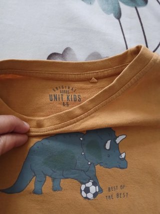Lote 5 Ropa Infantil: Polo y 4 Camisetas