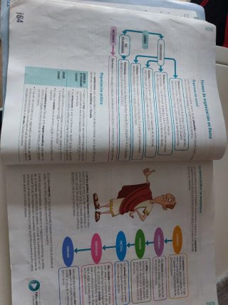 Cultura clásica,Este, ESO, Secundaria