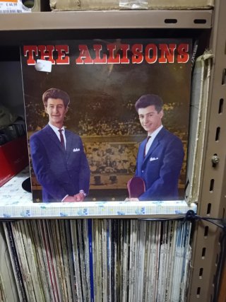The Allisons Vinilo LP