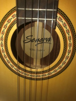 Guitarra Cadete con su funda