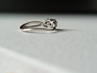 Anillo Pandora Rosa Bella y Bestia