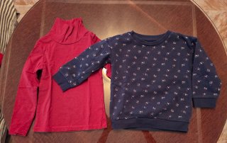 Lote 2 prendas niña 3 años: sudadera y camiseta