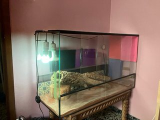 Terrario Grande para Reptiles