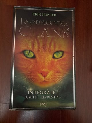 Lote de 4 libros en Francés