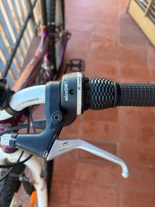 Bicicleta Coluer Morada