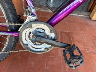 Bicicleta Coluer Morada