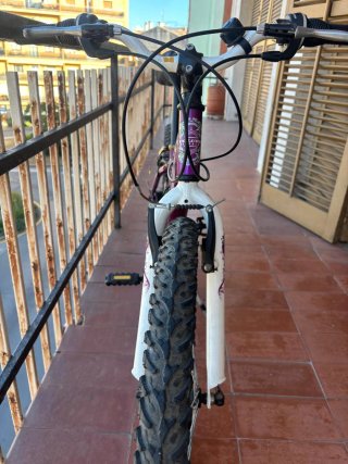 Bicicleta Coluer Morada