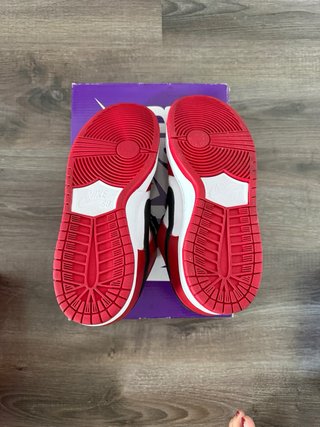 Nike SB Dunk Low Pro J-Pack Chicago