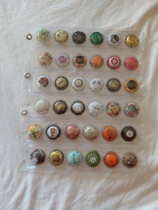 72 Chapas de Cava + 2 Hojas