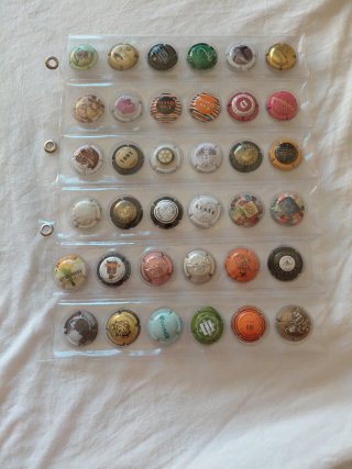72 Chapas de Cava + 2 Hojas