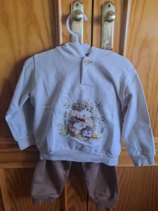 Conjunto infantil sudadera y pantalón