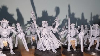Ejército Necrones 2500 Puntos Warhammer 40k
