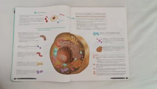 Biología y Geología 3º ESO NADA ESCRITO NI MARCADO