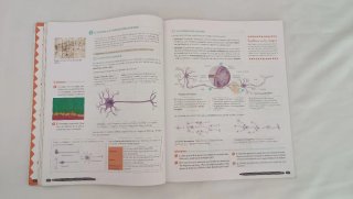 Biología y Geología 3º ESO NADA ESCRITO NI MARCADO