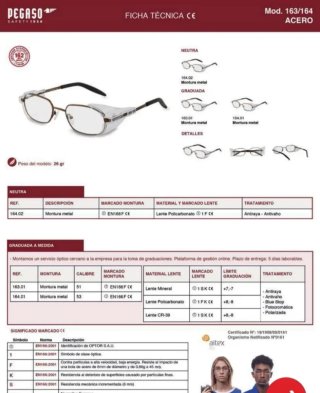 Gafas PEGASO 164 Seguridad y Protección NUEVO
