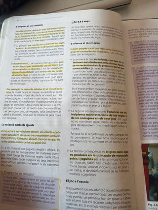 El joc infantil i la seva metodologia