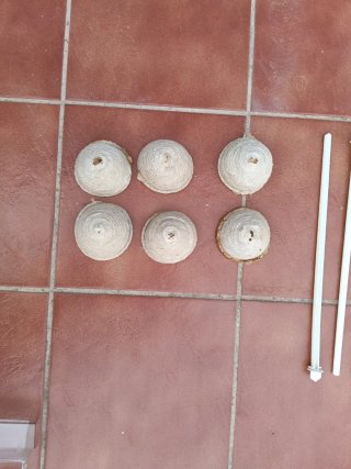 Tolvas canarios, bebederos, nidos, palos
