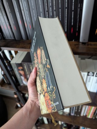 La pequeña Dorrit - Dickens. Alba maior