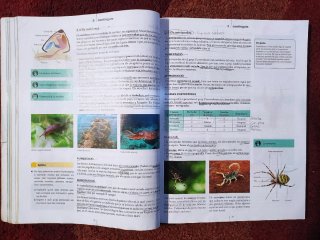 Biología i Geología 1 ESO LOMLOE
