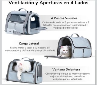 Transportín celeste gato FUKUMARU gris y blanco