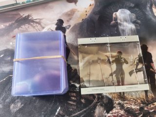 LOTE POKÉMON TCG CARTAS + LATAS