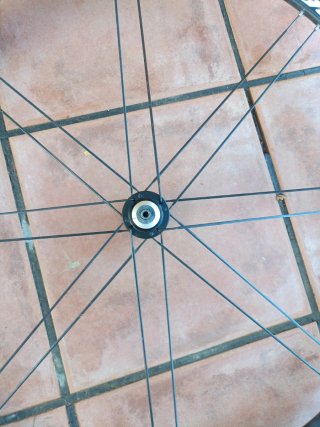 Rueda Fulcrum Zapata
