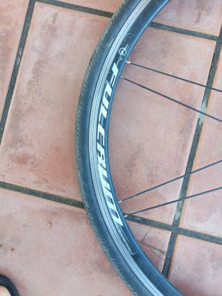 Rueda Fulcrum Zapata