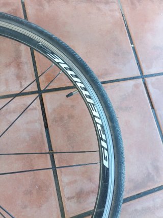 Rueda Fulcrum Zapata