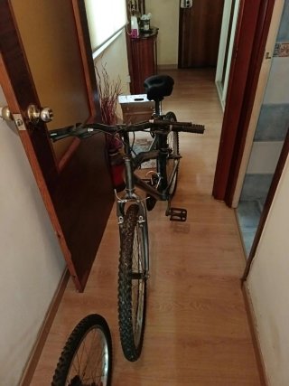 Bicicleta