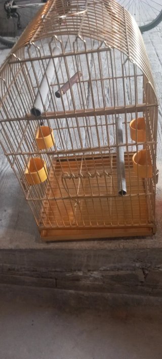 Jaula para pájaros dorada