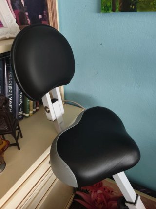 Bicicleta Estática Plegable