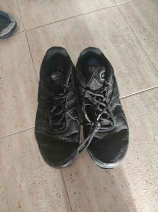 Zapatillas Nike Air Max Plus