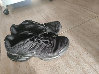 Zapatillas Nike Air Max Plus