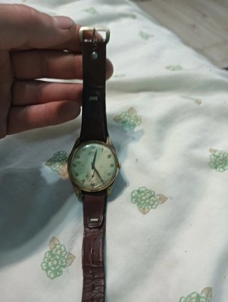 Reloj Technis Antimagético Dorado y Marron A cuerd