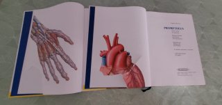 Prometheus texto y atlas de anatomía. Tomo 1 y 2