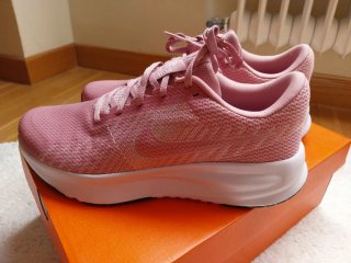 Zapatillas Nike Run Defy Rosa
