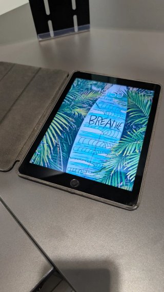 Apple iPad Air 2 Plata 64GB