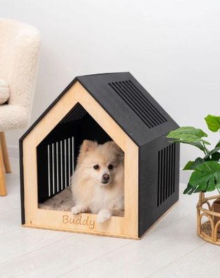 Casa-Comedor para Mascotas Aero, perro gato
