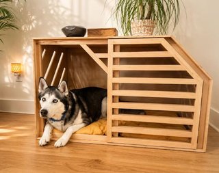 Casa-Comedor para Mascotas Aero, perro gato