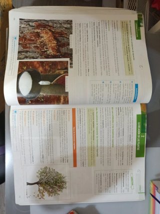 Biología y geología 1 Bachillerato
