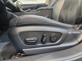 Lexus ES 2.5 300h Luxury